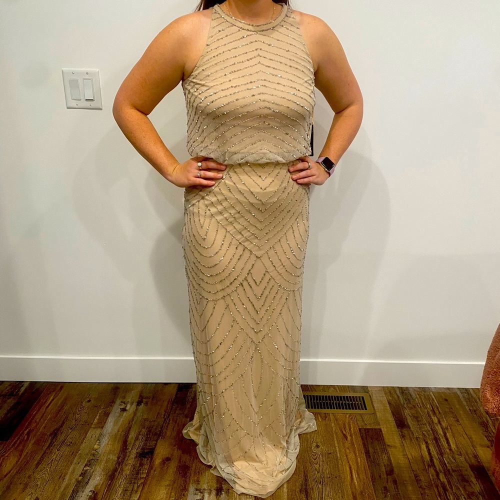 Adrianna Papell full length beaded gown